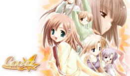 什么动漫,忍者世界的传奇征程