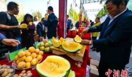 平遥吃瓜最新事件爆料,揭秘背后惊人真相